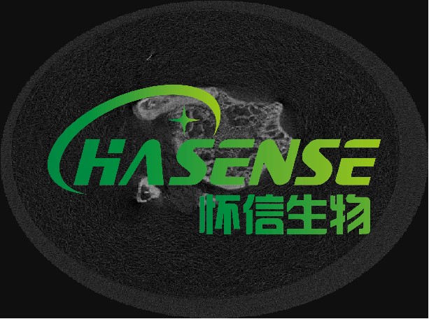 骨質(zhì)疏松模型